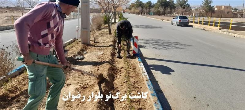 گزارش تصویری